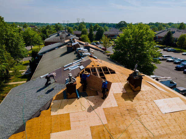 Best Commercial Roofing Services  in Campti, LA