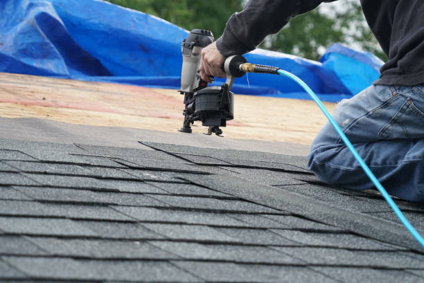 Best Local Roofing Companies  in Campti, LA