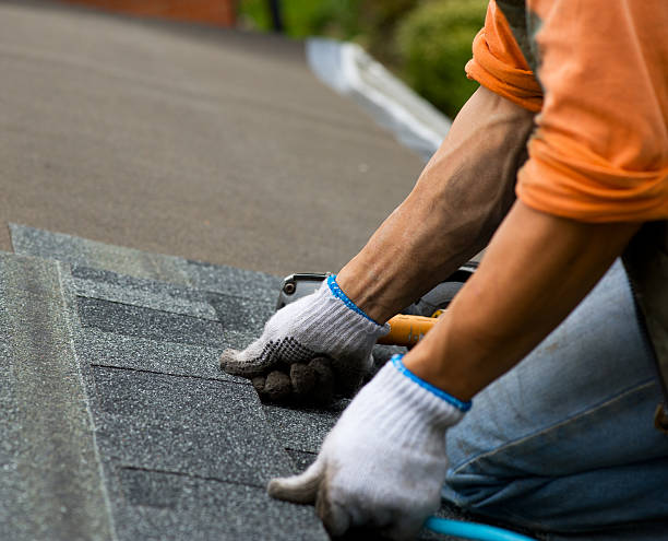 Best Gutter Installation and Roofing  in Campti, LA